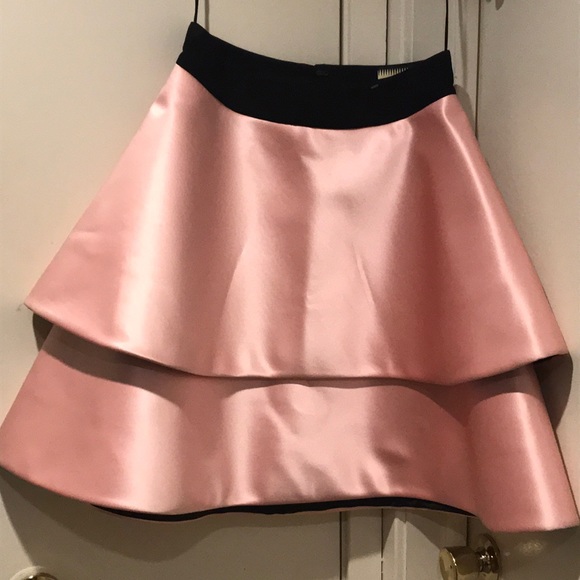 fausto puglisi Dresses & Skirts - Fausto puglisi pink skirt new $1070 size 42
